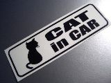 CAT in CARiWHITEjXebJ[^}Olbg@LԂɏĂ܂