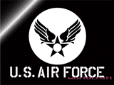 USAF アメリカ空軍  カッティングステッカー B